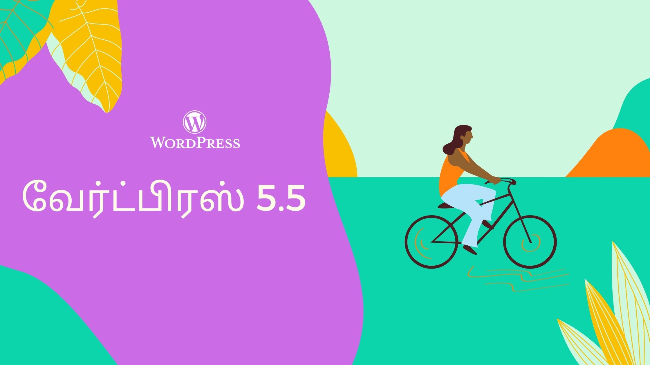 அப்படி என்ன உள்ளது WordPress 5.5 பதிப்பில்?